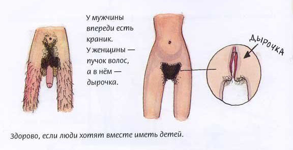 Забавные картинки