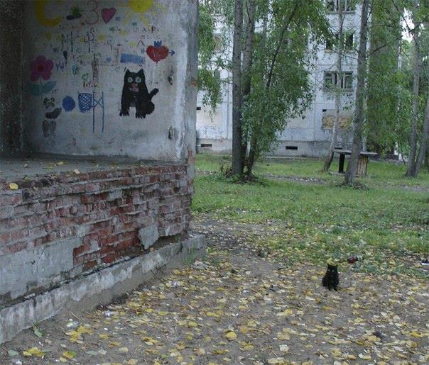 Забавные картинки