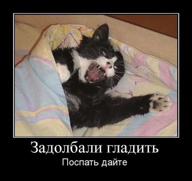 Демотиваторы