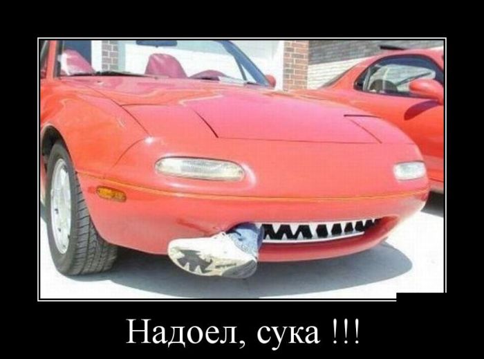 Демотиваторы