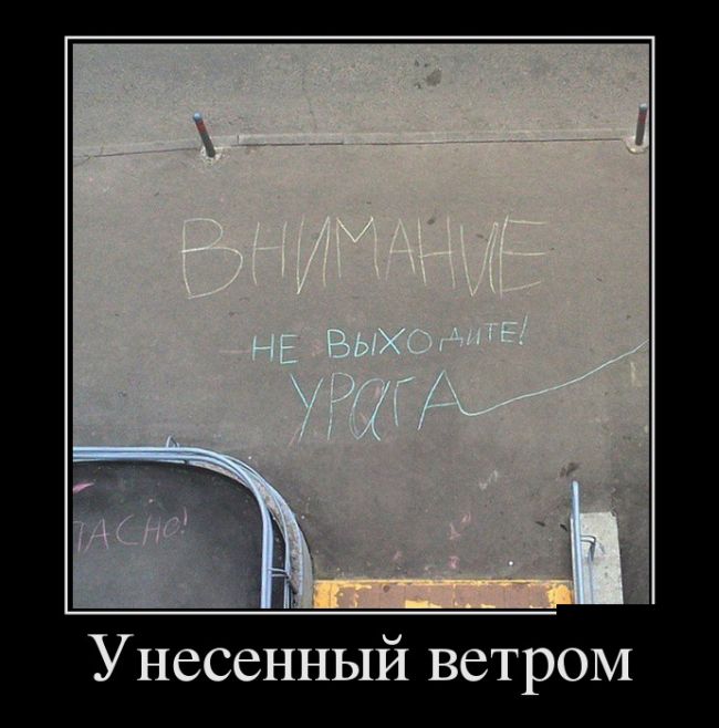Демотиваторы