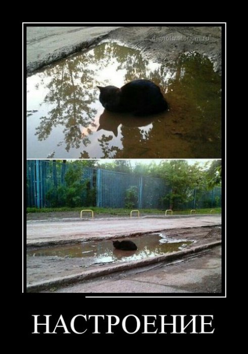 Демотиваторы