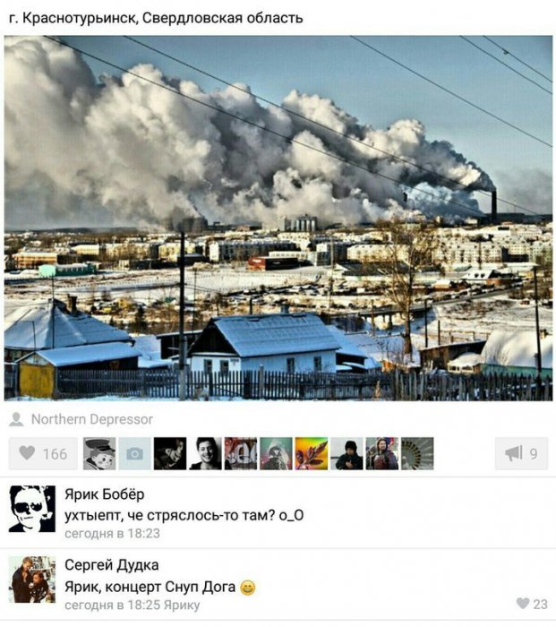 Порция картинок