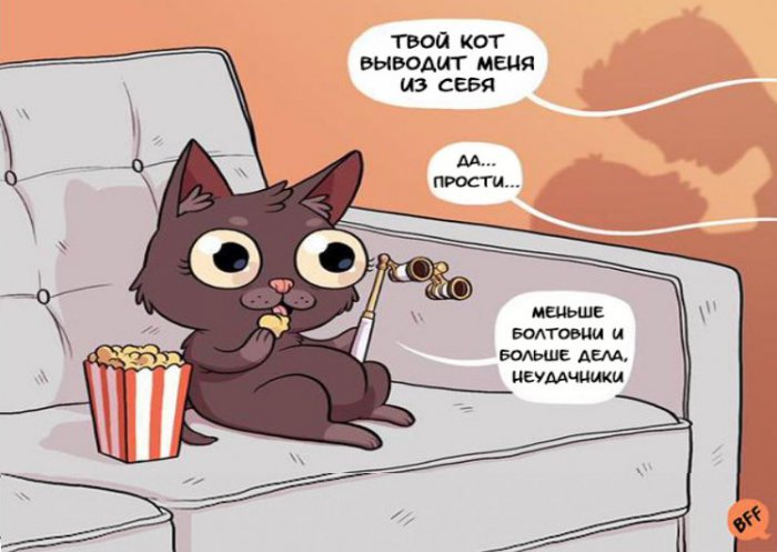 Забавные картинки