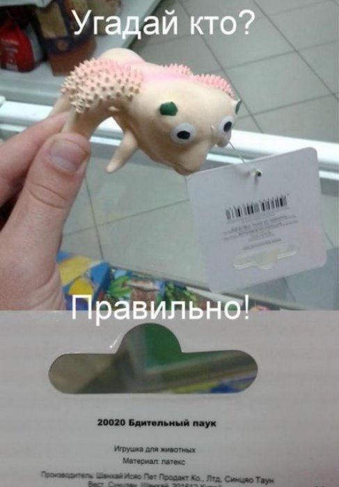 Забавные картинки