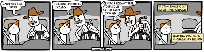 Забавные картинки