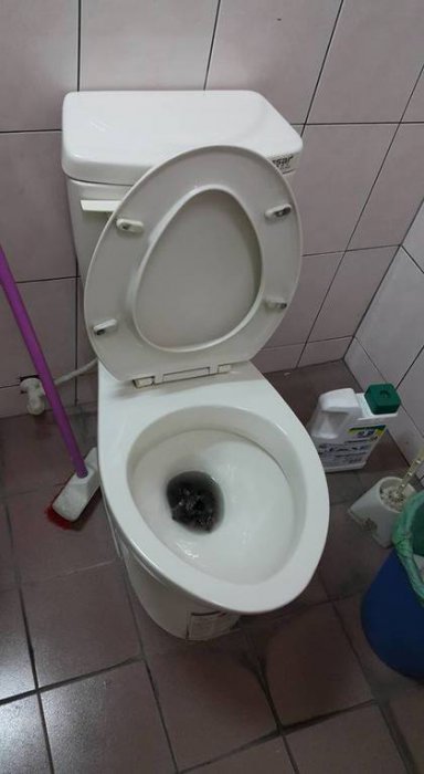 Неожиданные гости