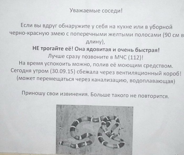 Божественный троллинг