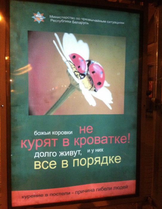 Забавные картинки