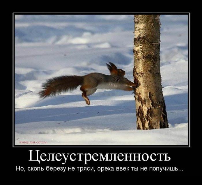 Демотиваторы