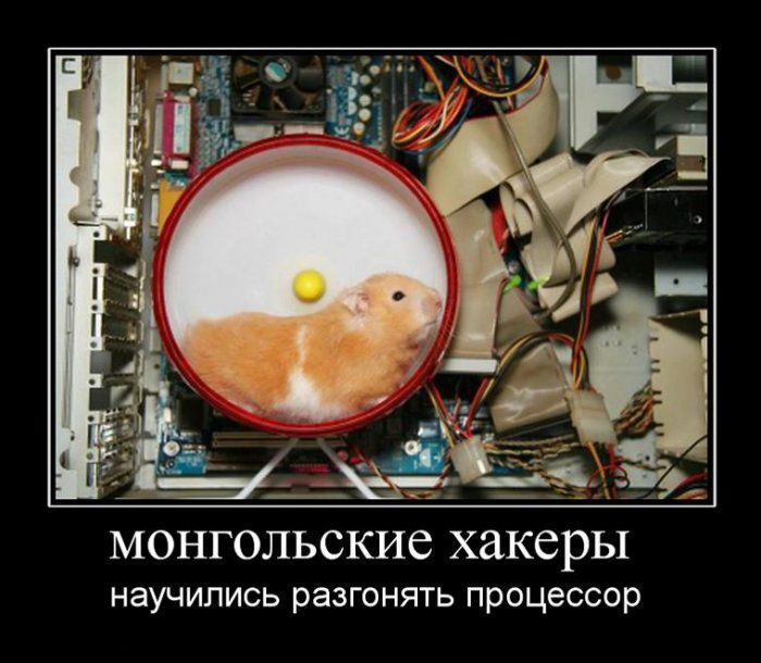 Демотиваторы