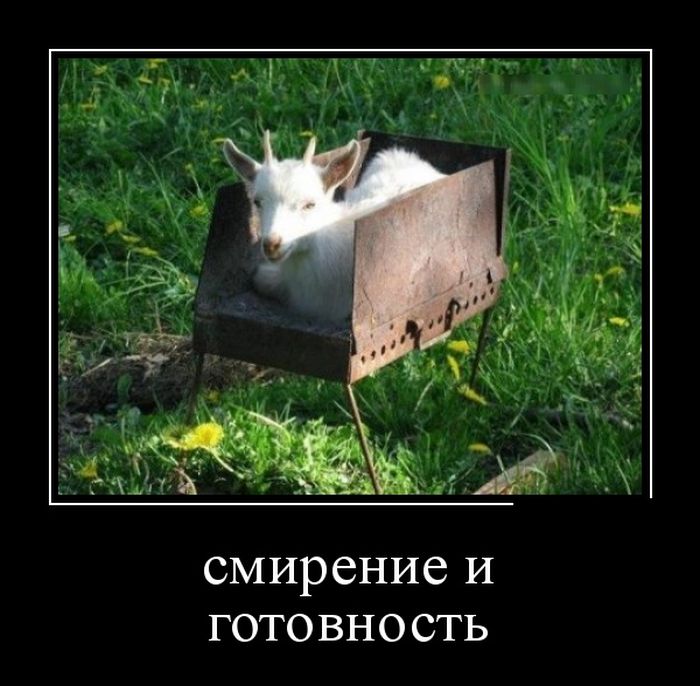 Демотиваторы