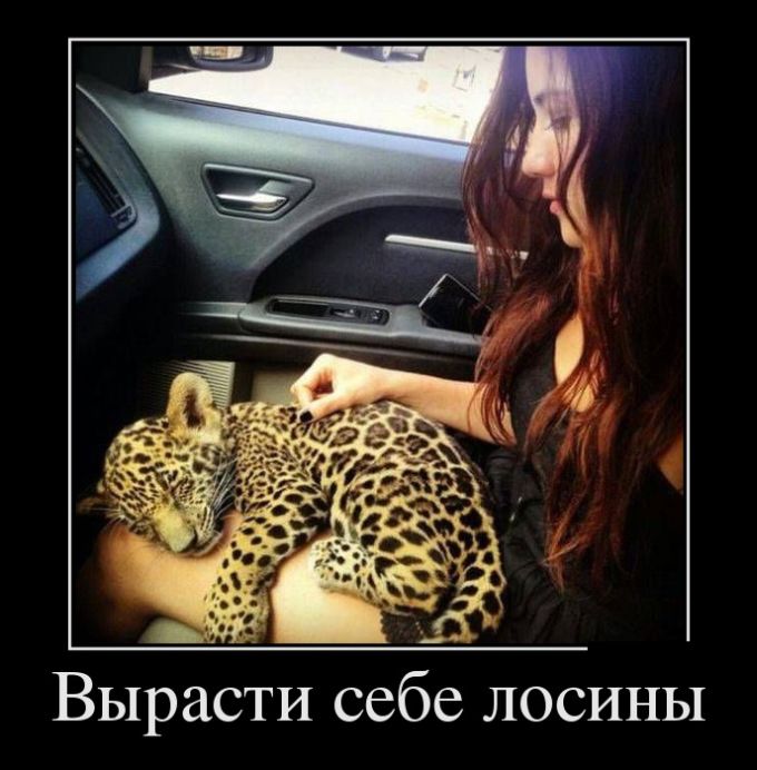 Демотиваторы