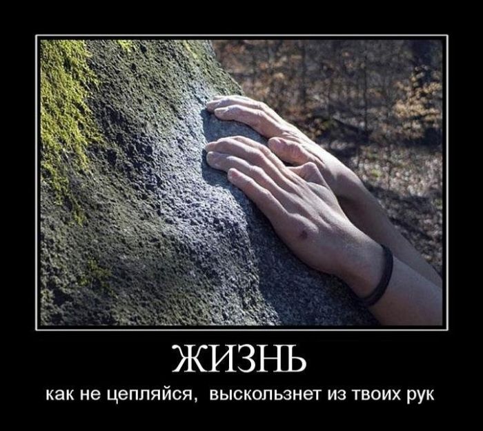 Демотиватор