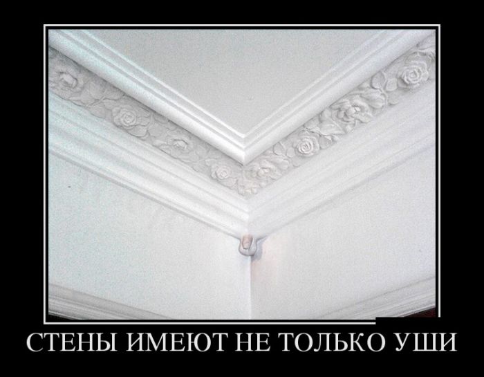 Демотиватор