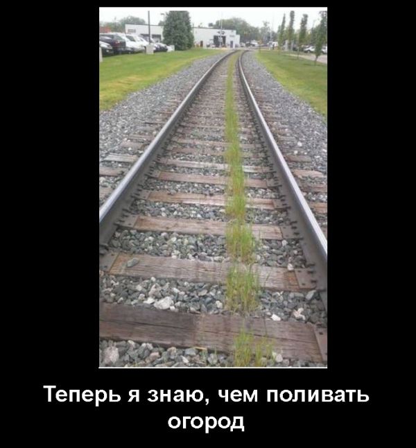 Демотиватор
