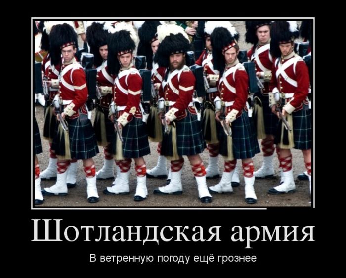 Демотиватор