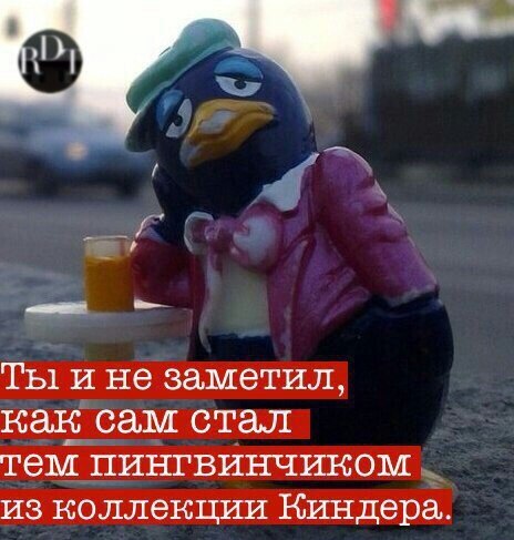Порция картинок