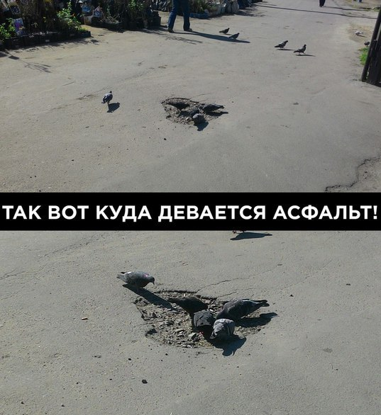 Порция картинок