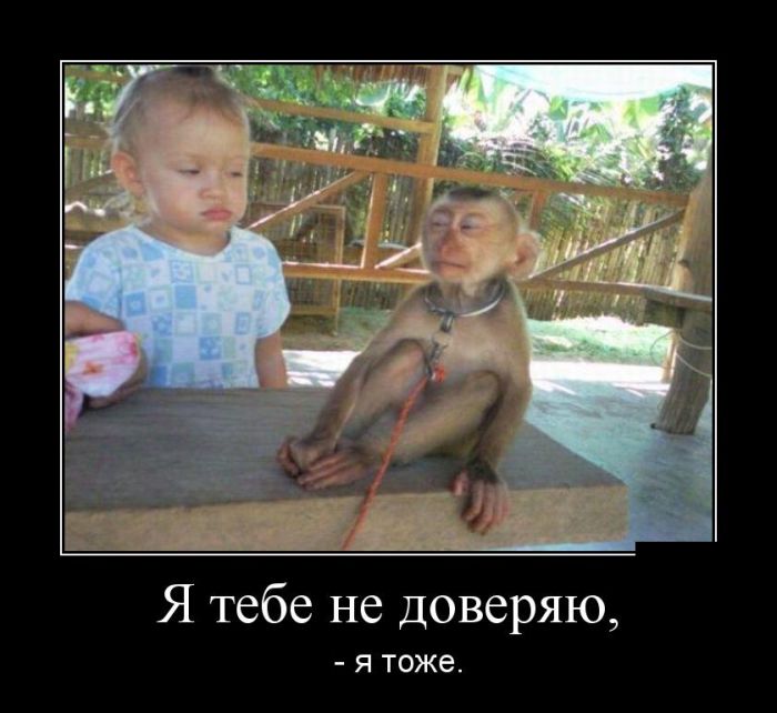 Демотиваторы