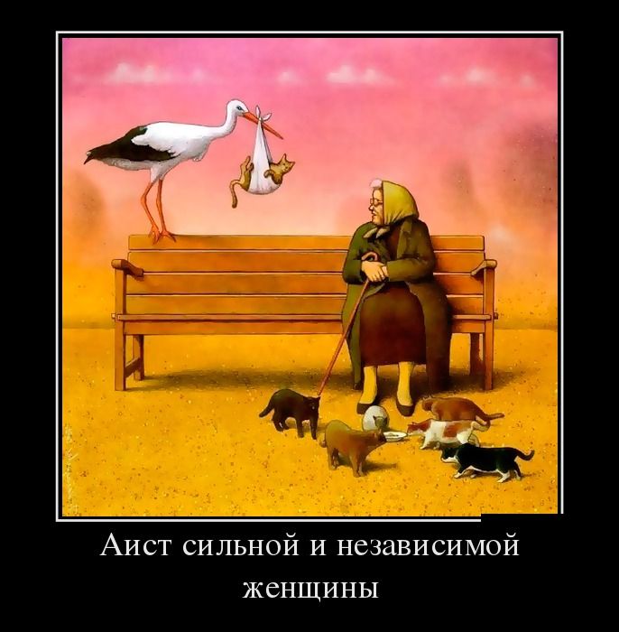 Демотиваторы