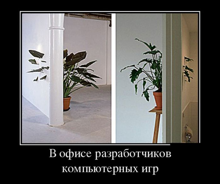 Демотиваторы