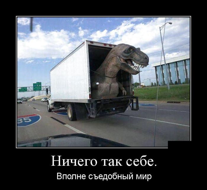 Демотиваторы