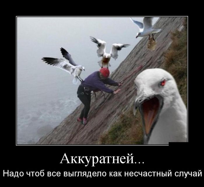 Демотиваторы