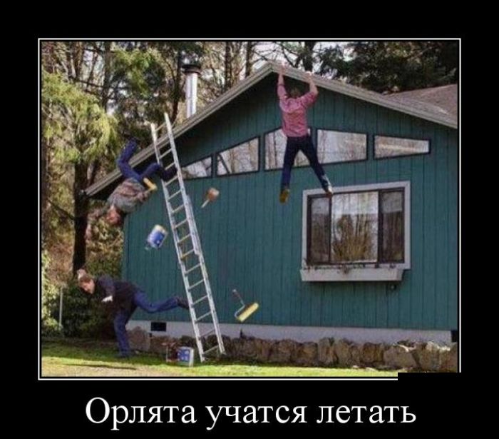 Демотиваторы