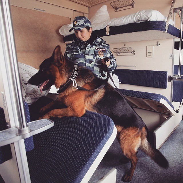 Российская полиция на фото в Instagram