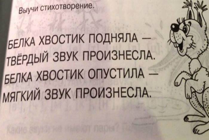 Порция картинок