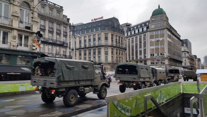 Вместо фотографий антитеррористической операции в Брюсселе начали публиковать фото с котами