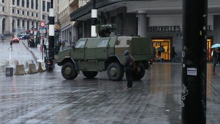 Вместо фотографий антитеррористической операции в Брюсселе начали публиковать фото с котами
