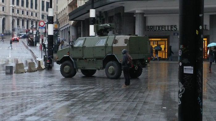 Вместо фотографий антитеррористической операции в Брюсселе начали публиковать фото с котами