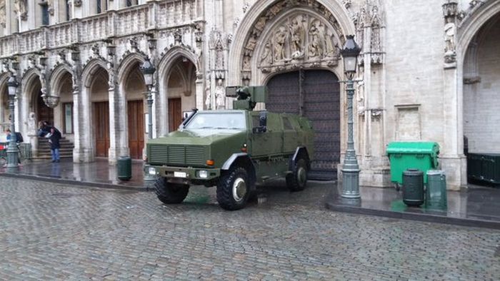 Вместо фотографий антитеррористической операции в Брюсселе начали публиковать фото с котами