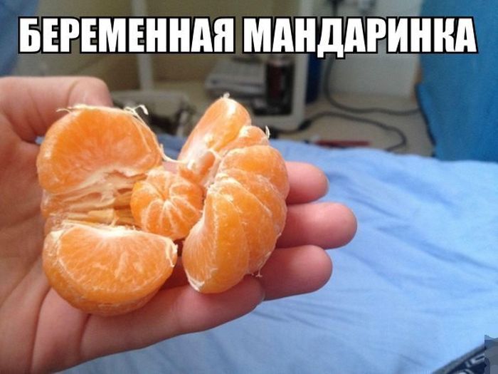 Порция картинок