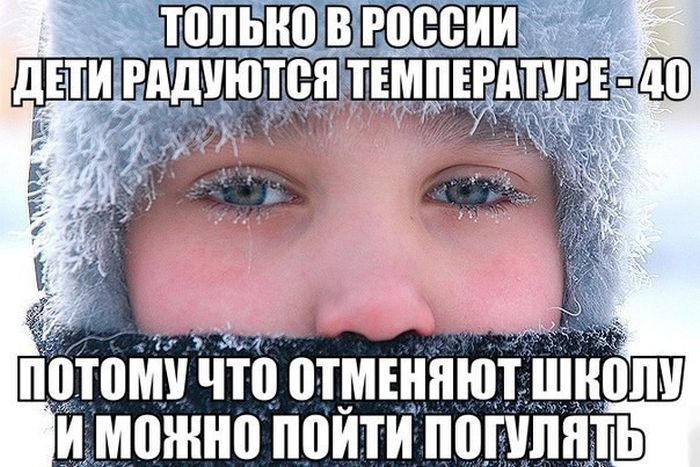 Порция картинок