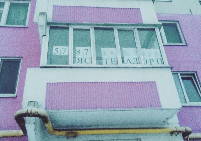 Порция картинок