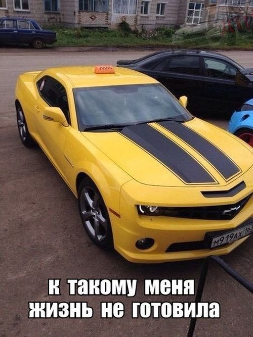 Порция картинок
