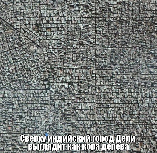 Порция картинок