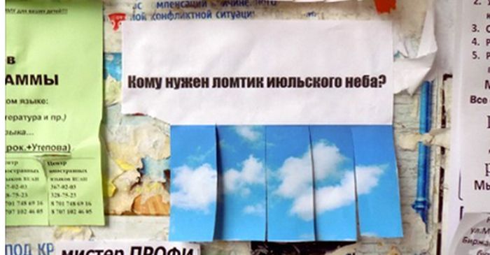 Порция картинок