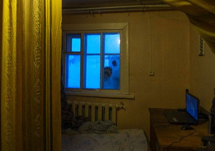Порция картинок