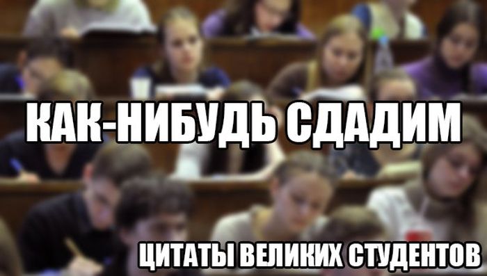 Порция картинок