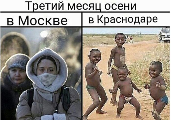 Порция картинок