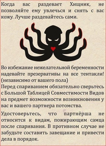 Порция картинок