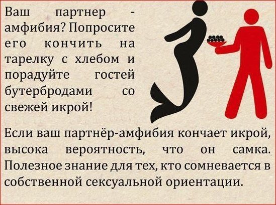Порция картинок