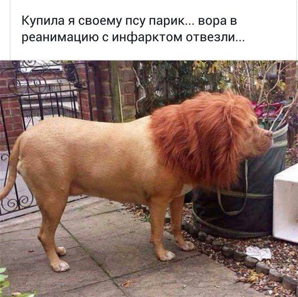 Картинки на разные темы
