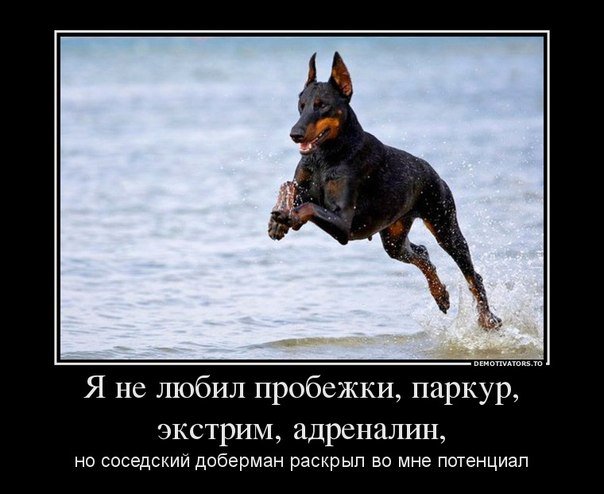 Картинки на разные темы