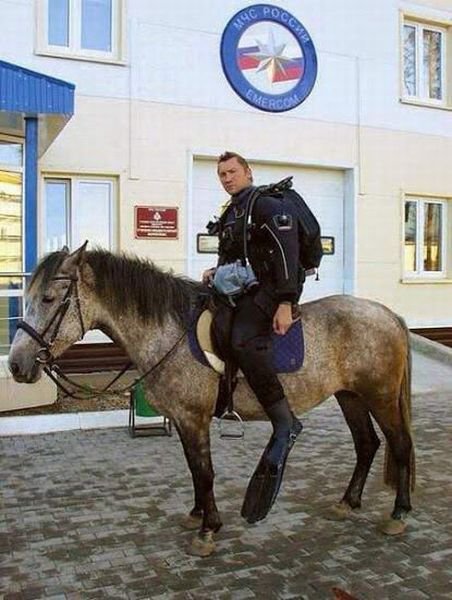 Картинки на разные темы