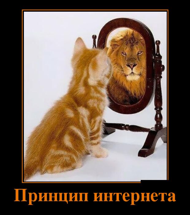 Демотиваторы
